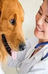 Técnico Auxiliar en Clínicas Veterinarias