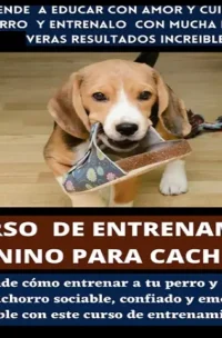 Curso de Entrenamiento Canino para Cachorros